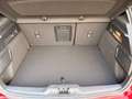 Ford Focus ST 2.3 EcoBoost ST X // WERKSGARANTIE // FORD-P... Rot - thumbnail 29