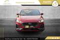 Ford Focus ST 2.3 EcoBoost ST X // WERKSGARANTIE // FORD-P... Rot - thumbnail 7