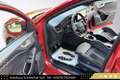 Ford Focus ST 2.3 EcoBoost ST X // WERKSGARANTIE // FORD-P... Rot - thumbnail 15