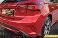Ford Focus ST 2.3 EcoBoost ST X // WERKSGARANTIE // FORD-P... Rot - thumbnail 10