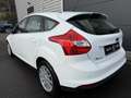 Ford Focus Lim. Titanium SHZ MFL PDC ZV TOP Klima Weiß - thumbnail 6