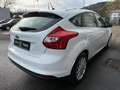 Ford Focus Lim. Titanium SHZ MFL PDC ZV TOP Klima Weiß - thumbnail 8