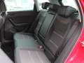 SEAT Ateca 2.0TDI CR S&S X-Perience XM DSG 150 Rojo - thumbnail 11