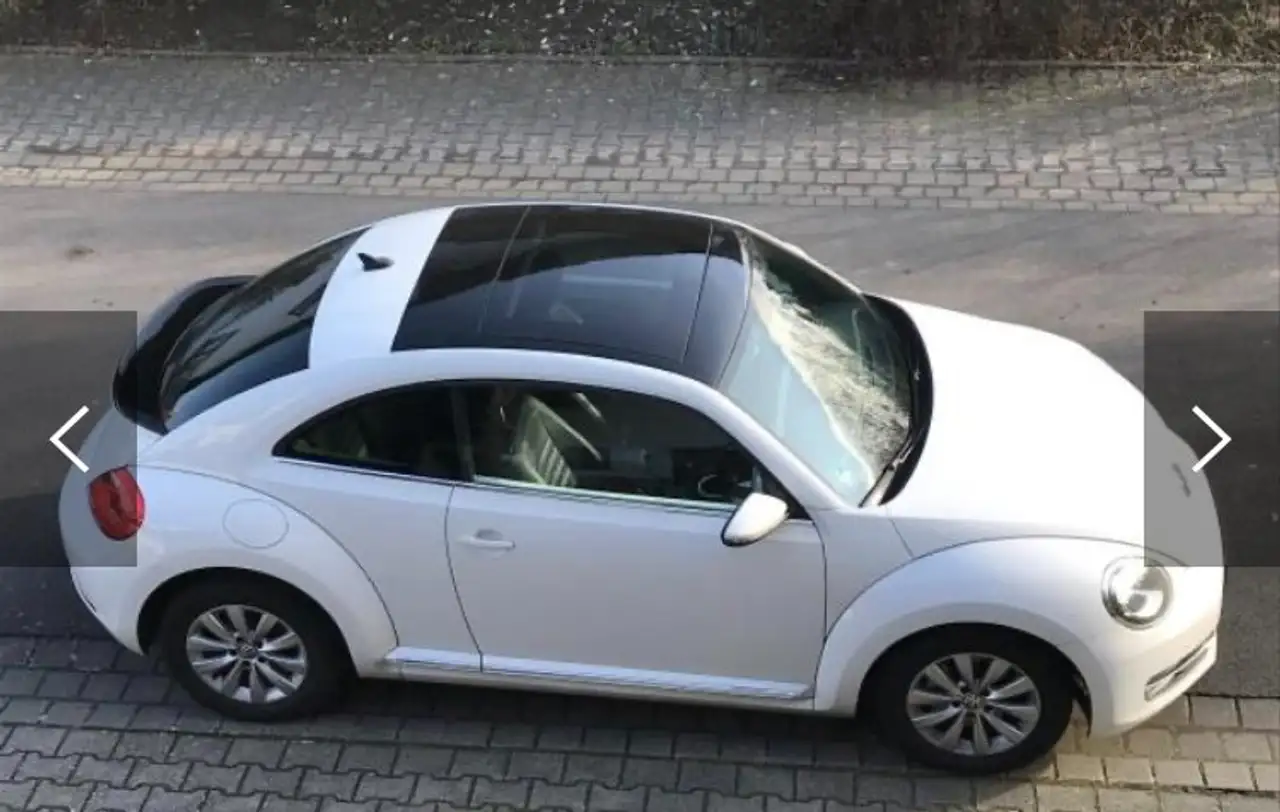 Volkswagen Beetle