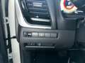Nissan X-Trail 1.5 VC-T MHEV N-Connecta 163PS Automatik 7 Sitzer Blanco - thumbnail 18