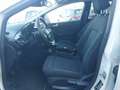 Ford Fiesta 7ª serie 1.0 Ecoboost Hybrid 125 CV 5 porte Titani Bianco - thumbnail 13