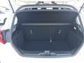 Ford Fiesta 7ª serie 1.0 Ecoboost Hybrid 125 CV 5 porte Titani Bianco - thumbnail 11