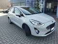 Ford Fiesta 7ª serie 1.0 Ecoboost Hybrid 125 CV 5 porte Titani Bianco - thumbnail 6