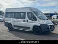 Fiat Ducato 33 120 Hochr.-Kombi 9 Sitze Stdhzg Grau - thumbnail 7