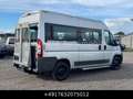Fiat Ducato 33 120 Hochr.-Kombi 9 Sitze Stdhzg Grau - thumbnail 9