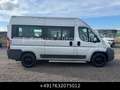 Fiat Ducato 33 120 Hochr.-Kombi 9 Sitze Stdhzg Grau - thumbnail 8