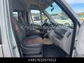 Fiat Ducato 33 120 Hochr.-Kombi 9 Sitze Stdhzg Grau - thumbnail 16