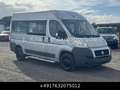 Fiat Ducato 33 120 Hochr.-Kombi 9 Sitze Stdhzg Grau - thumbnail 6