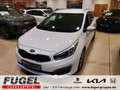 Kia Ceed SW / cee'd SW 1.6 CRDi Dream Team AHZV|SHZ|Klimaaut. Weiß - thumbnail 1