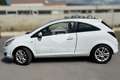 Opel Corsa Corsa 1.3 CDTI 90CV 3 porte Sport Bianco - thumbnail 5