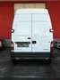 Renault Master L3H3 3,5t 2,5 dCi 120 *ERSTBESITZ*PICKERL NEU* Weiß - thumbnail 8
