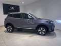 Ebro Sonstige s400 1.5 DHE E-CVT Excellence FWD Grau - thumbnail 6