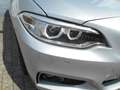 BMW 220 2-serie Cabrio 220I AUTOMAAT M-pakket NL auto/Navi Gris - thumbnail 20