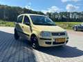 Fiat Panda 1.2 Edizione Cool | "135.000" KM NAP | Geel - thumbnail 5