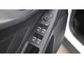 Ford Focus Turnier 1.5 EcoBlue Titanium X Aut LED AHK Weiß - thumbnail 23