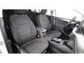 Ford Focus Turnier 1.5 EcoBlue Titanium X Aut LED AHK Weiß - thumbnail 14
