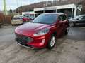 Ford Kuga 1,5 EcoBlue Titanium Aut. Rot - thumbnail 3