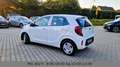 Kia Picanto Edition 7 Sitz/Lenkradheizung Weiß - thumbnail 3