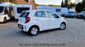 Kia Picanto Edition 7 Sitz/Lenkradheizung Weiß - thumbnail 6