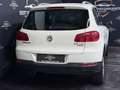 Volkswagen Tiguan Sport **SKY AUSSTATTUNG** Weiß - thumbnail 17