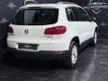 Volkswagen Tiguan Sport **SKY AUSSTATTUNG** Weiß - thumbnail 16