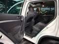 Volkswagen Tiguan Sport **SKY AUSSTATTUNG** Weiß - thumbnail 37