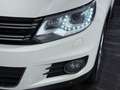 Volkswagen Tiguan Sport **SKY AUSSTATTUNG** Weiß - thumbnail 5