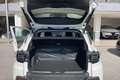 Jeep Avenger Avenger 1.2 turbo e-hybrid Summit KM0 Grigio - thumbnail 25