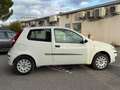 Fiat Punto 1.2 8V Cult II Weiß - thumbnail 6