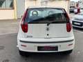 Fiat Punto 1.2 8V Cult II Weiß - thumbnail 4