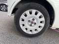 Fiat Punto 1.2 8V Cult II Weiß - thumbnail 20