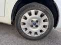 Fiat Punto 1.2 8V Cult II Weiß - thumbnail 21