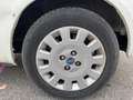 Fiat Punto 1.2 8V Cult II Weiß - thumbnail 23