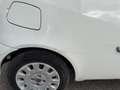 Fiat Punto 1.2 8V Cult II Weiß - thumbnail 25