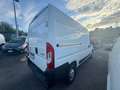Peugeot Boxer BOXER 335 2.2 140CV L2H2 FURGONE EURO 6 Blanc - thumbnail 4