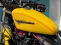 Harley-Davidson Sportster 1200 XL 1200 Sport Giallo - thumbnail 9