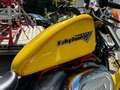 Harley-Davidson Sportster 1200 XL 1200 Sport Giallo - thumbnail 12