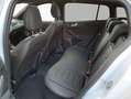 Ford Focus Turnier 1.0 EcoBoost Hybrid Aut. ST-LINE X Weiß - thumbnail 7