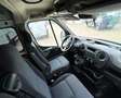 Renault Master Fg. DCb. dCi 150 T L3H2 3500 Blanco - thumbnail 8