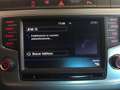Volkswagen Polo Sport BMT Bianco - thumbnail 13