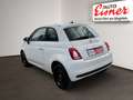 Fiat 500 FIREFLY HYBRID Weiß - thumbnail 10