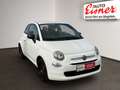Fiat 500 FIREFLY HYBRID Weiß - thumbnail 15