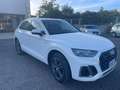 Audi Q5 Q5 40 2.0 tdi mhev 12V Sline Plus quattro s-tronic Weiß - thumbnail 2