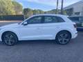 Audi Q5 Q5 40 2.0 tdi mhev 12V Sline Plus quattro s-tronic Weiß - thumbnail 4