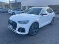 Audi Q5 Q5 40 2.0 tdi mhev 12V Sline Plus quattro s-tronic Weiß - thumbnail 3